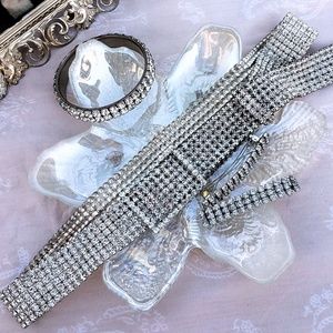 Vintage Sparkling Rhinestone Accessory Set